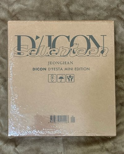 Seventeen Dicon 寫真