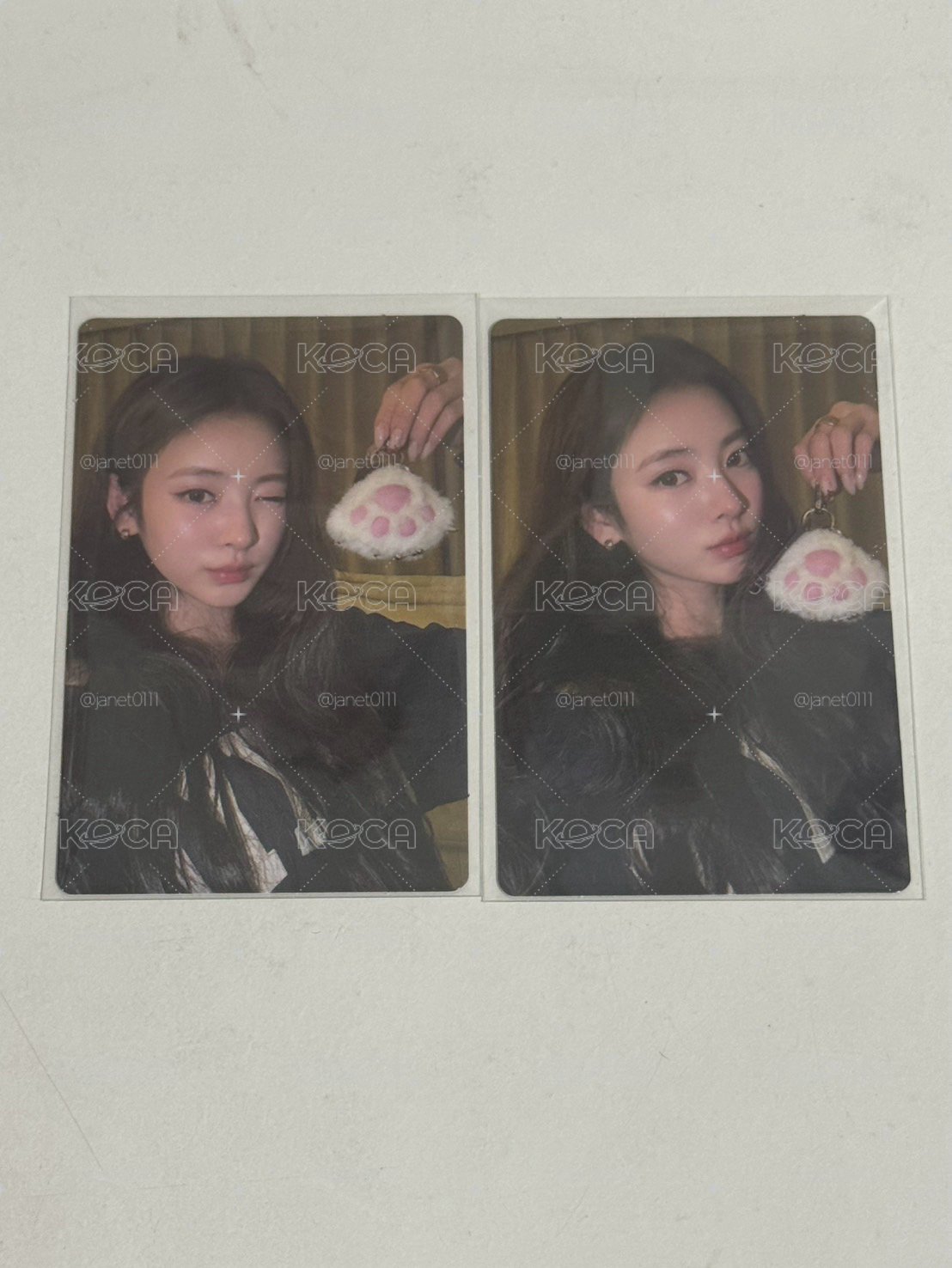 迷一 專輯卡 JELLY PAW ver.