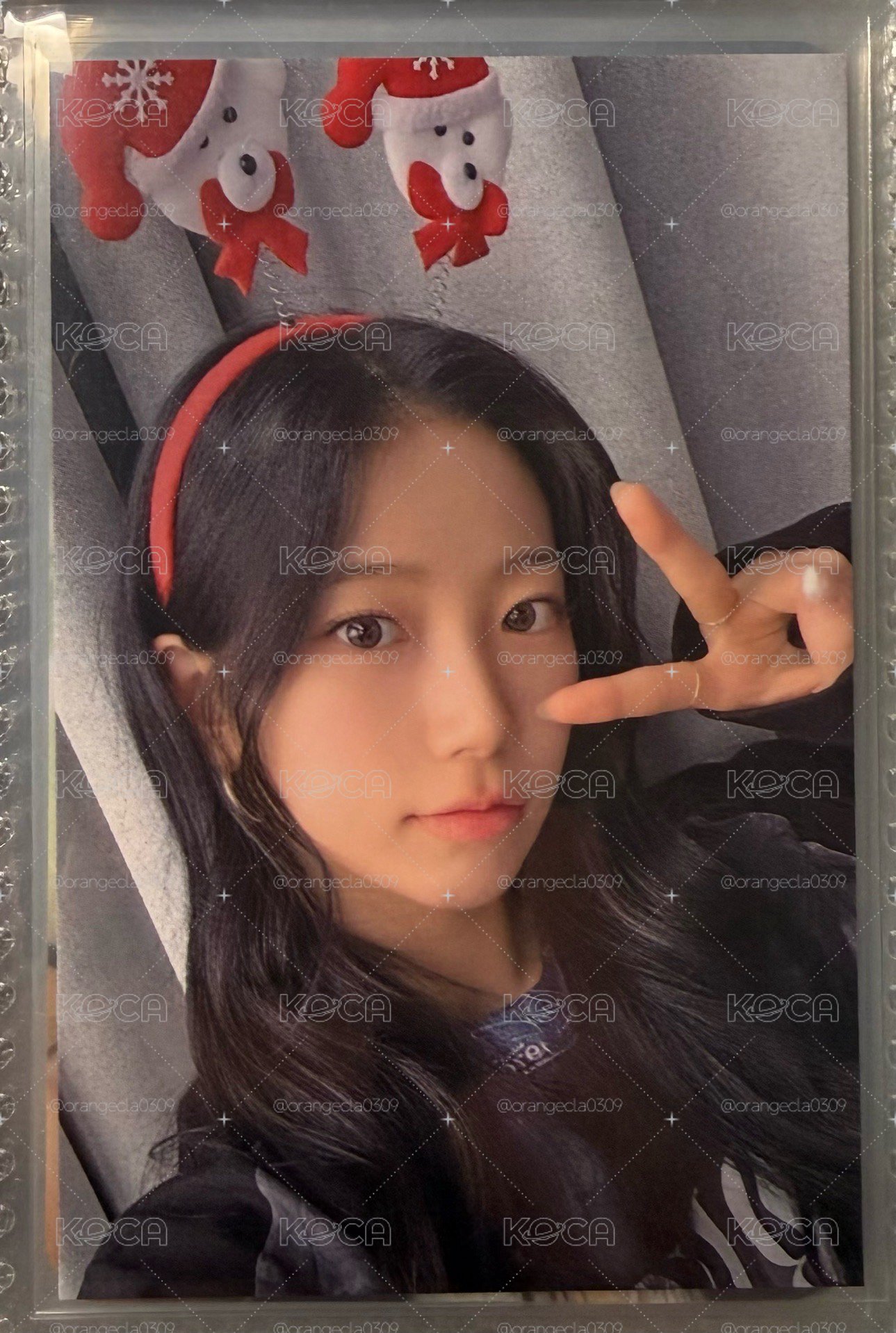 SBS葉