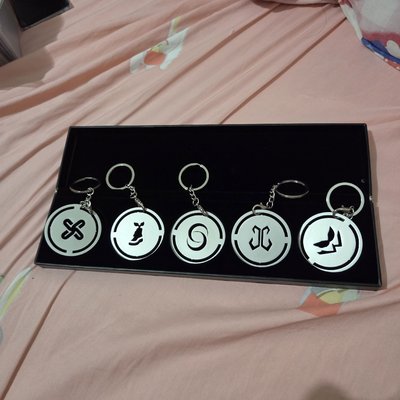Members Logo Keychain Chips Set