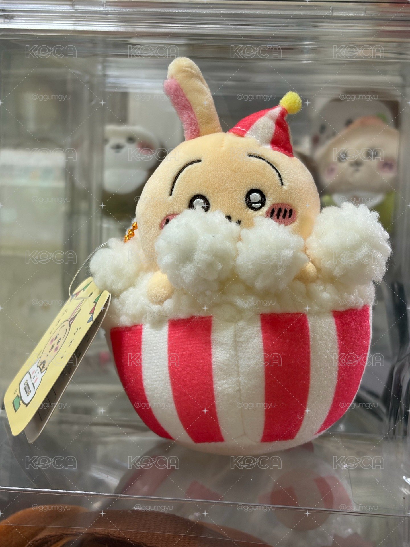 3隻兔🐰