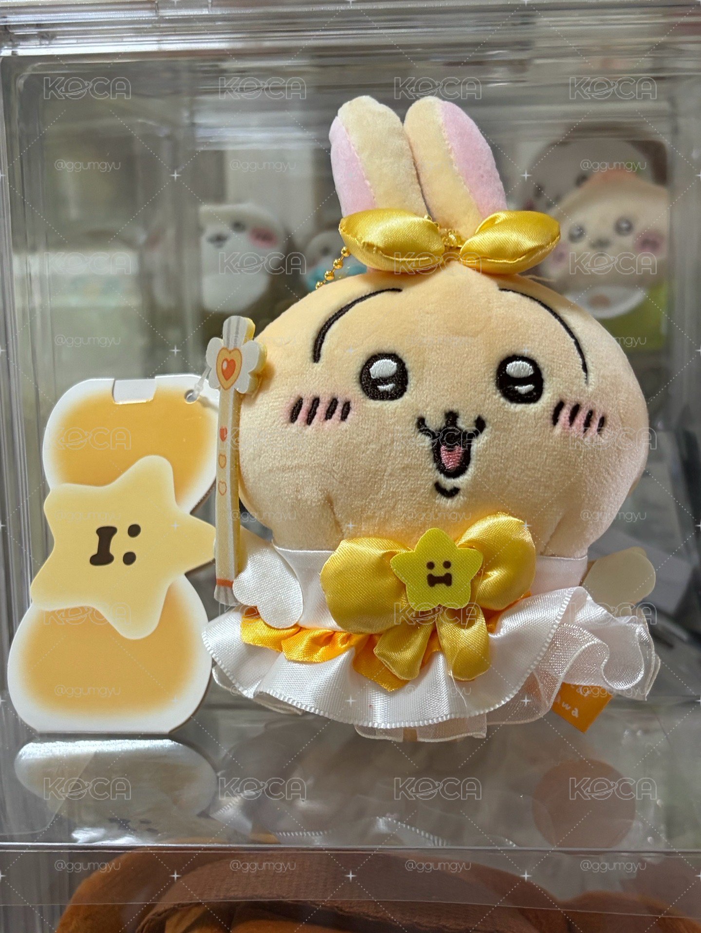 2隻兔兔🐰
