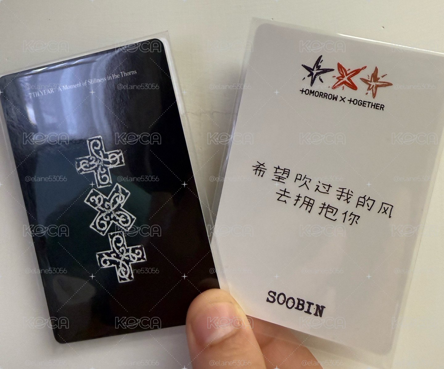 TXT 迷六 yzy 告白彬 