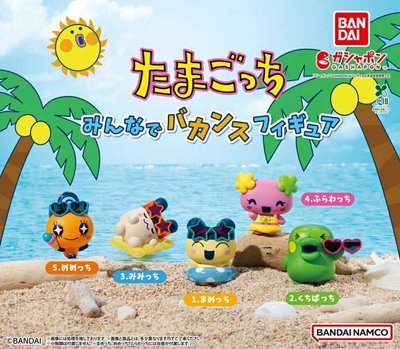 🩵塔麻可吉 夏日度假扭蛋