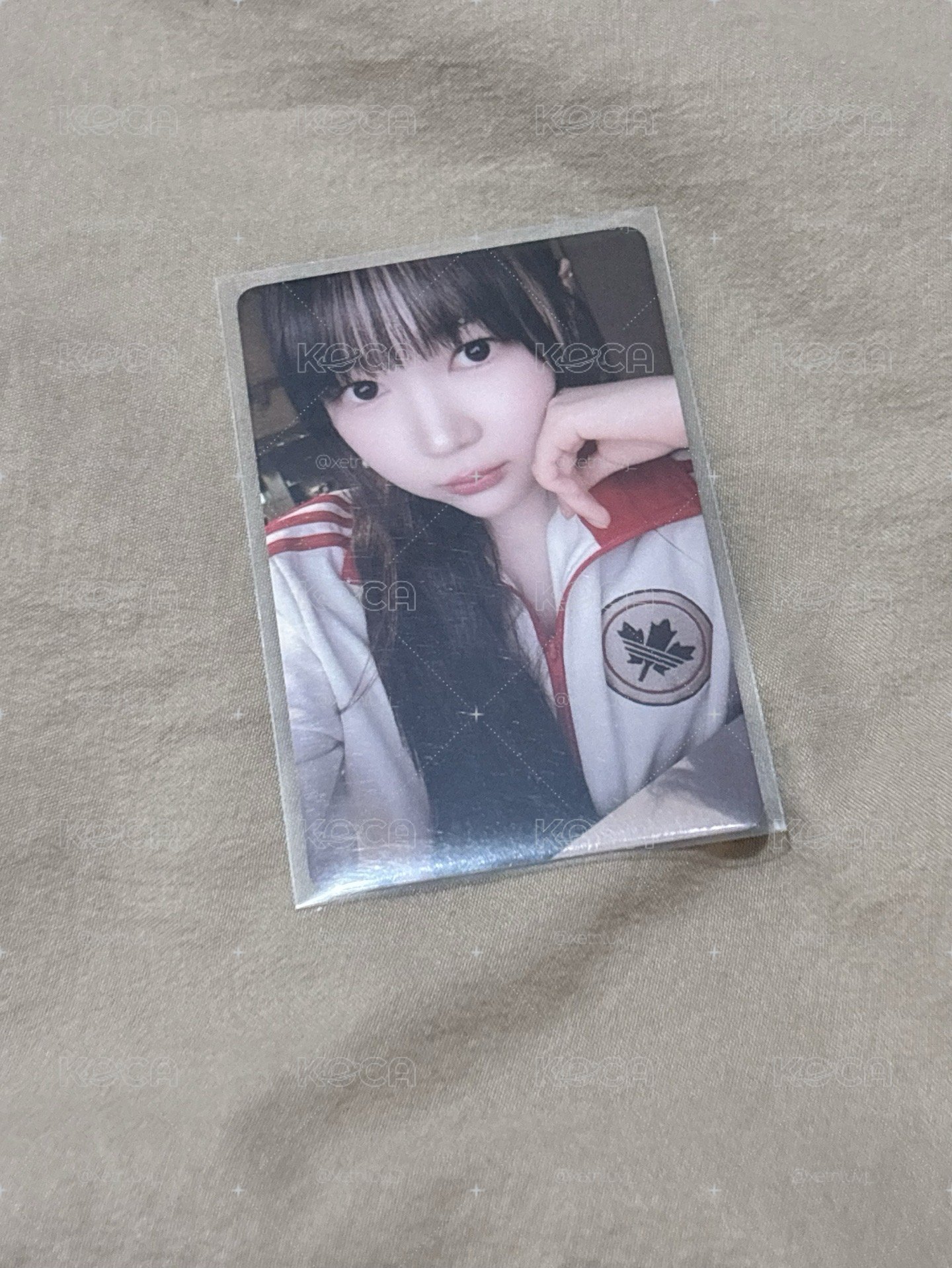 yeon盤