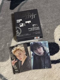 燦🐺單人卡+城🐿️變化卡 全專 