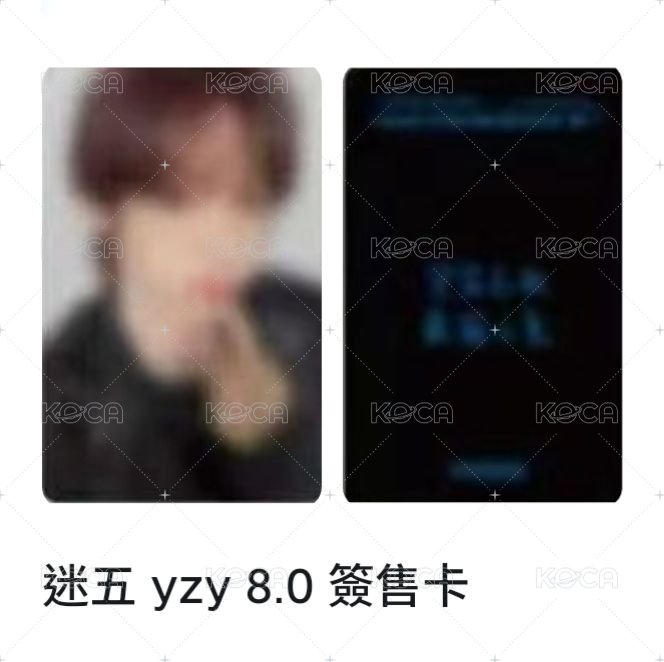 韓振 視簽 8.0