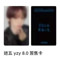 韓振 視簽 8.0
