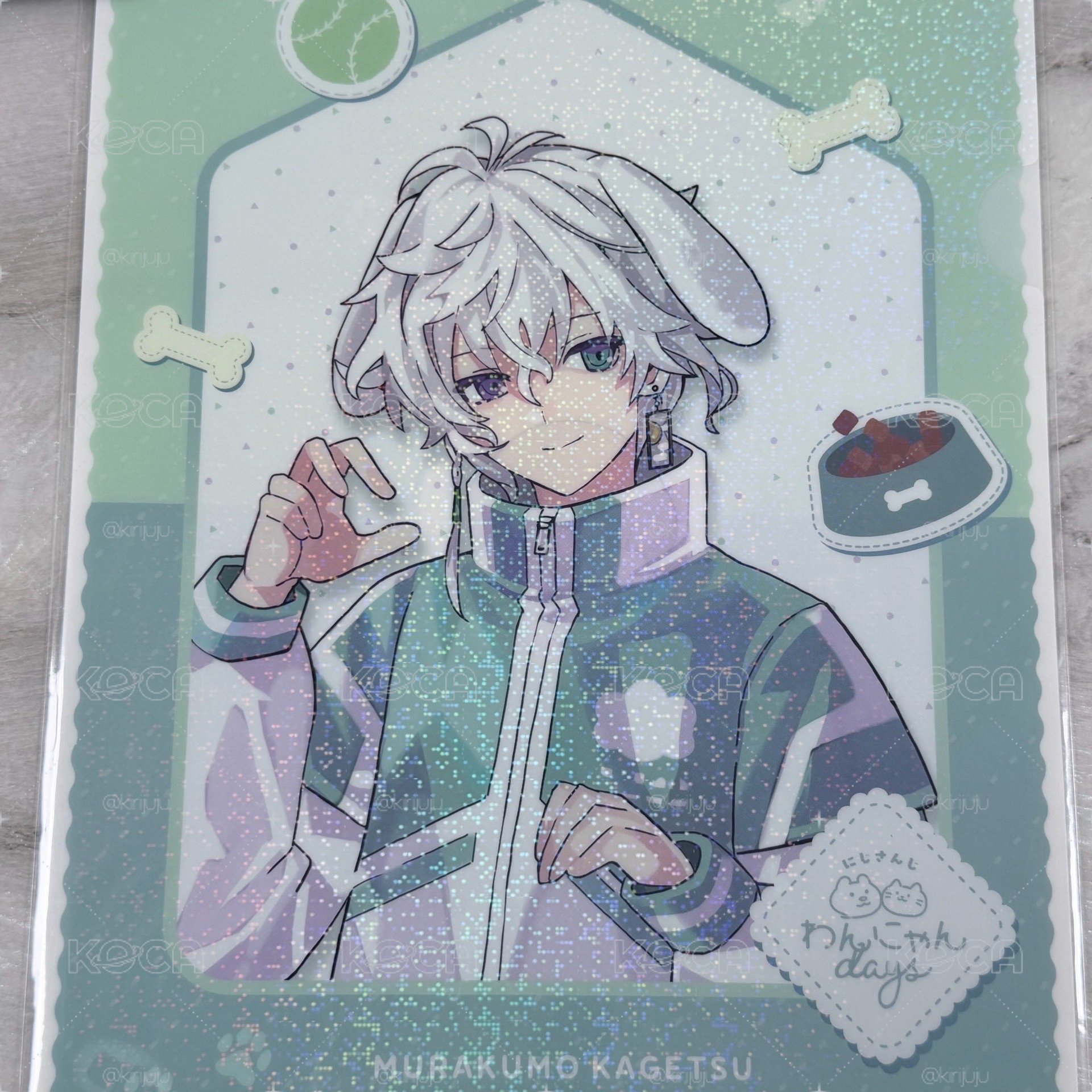 叢雲花月 貓狗日資料夾