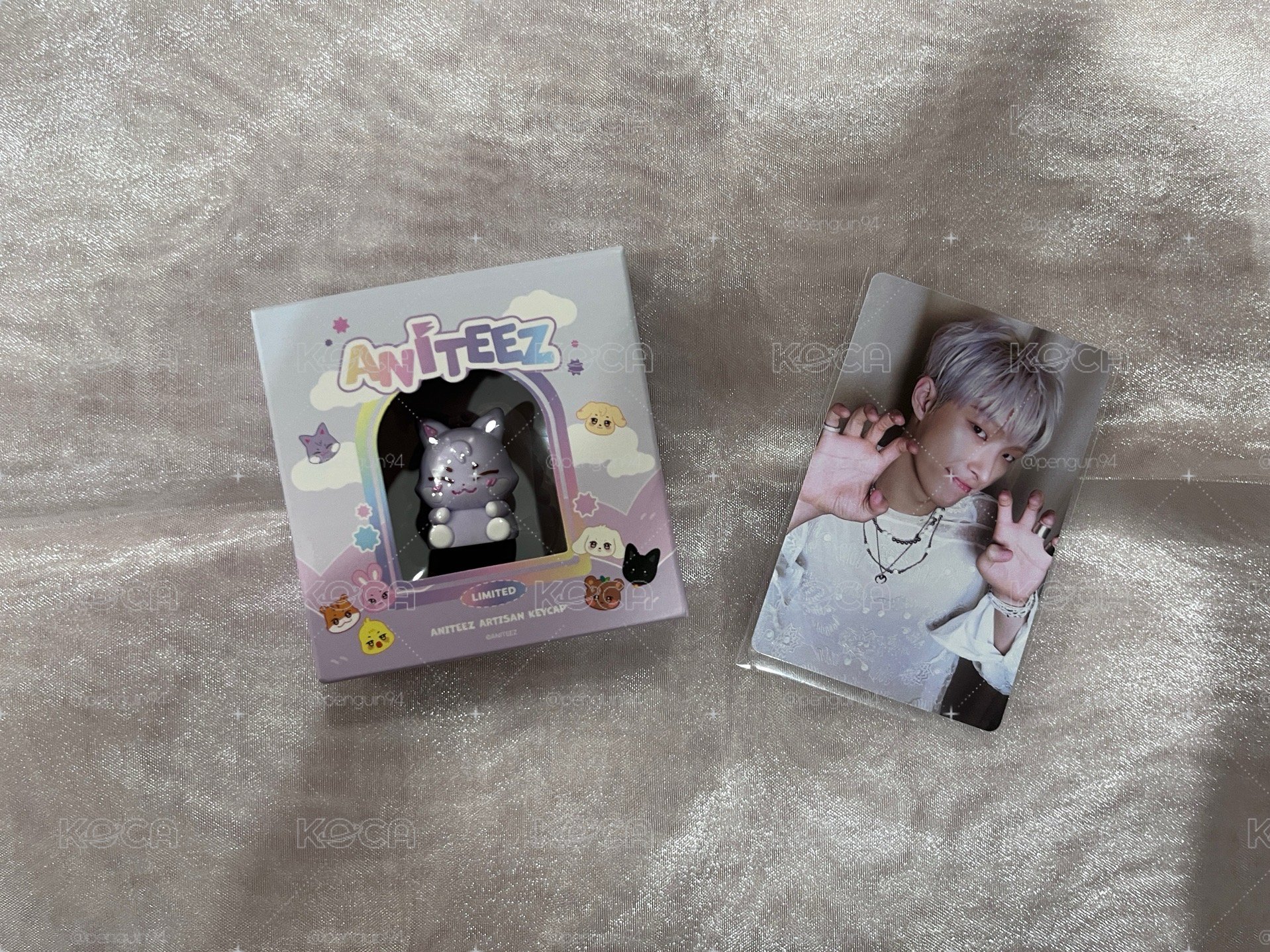 ANITEEZ IN COLOR KR ONLY 鍵帽 ANITEEZ ARTISAN KEYCAP+琦卡