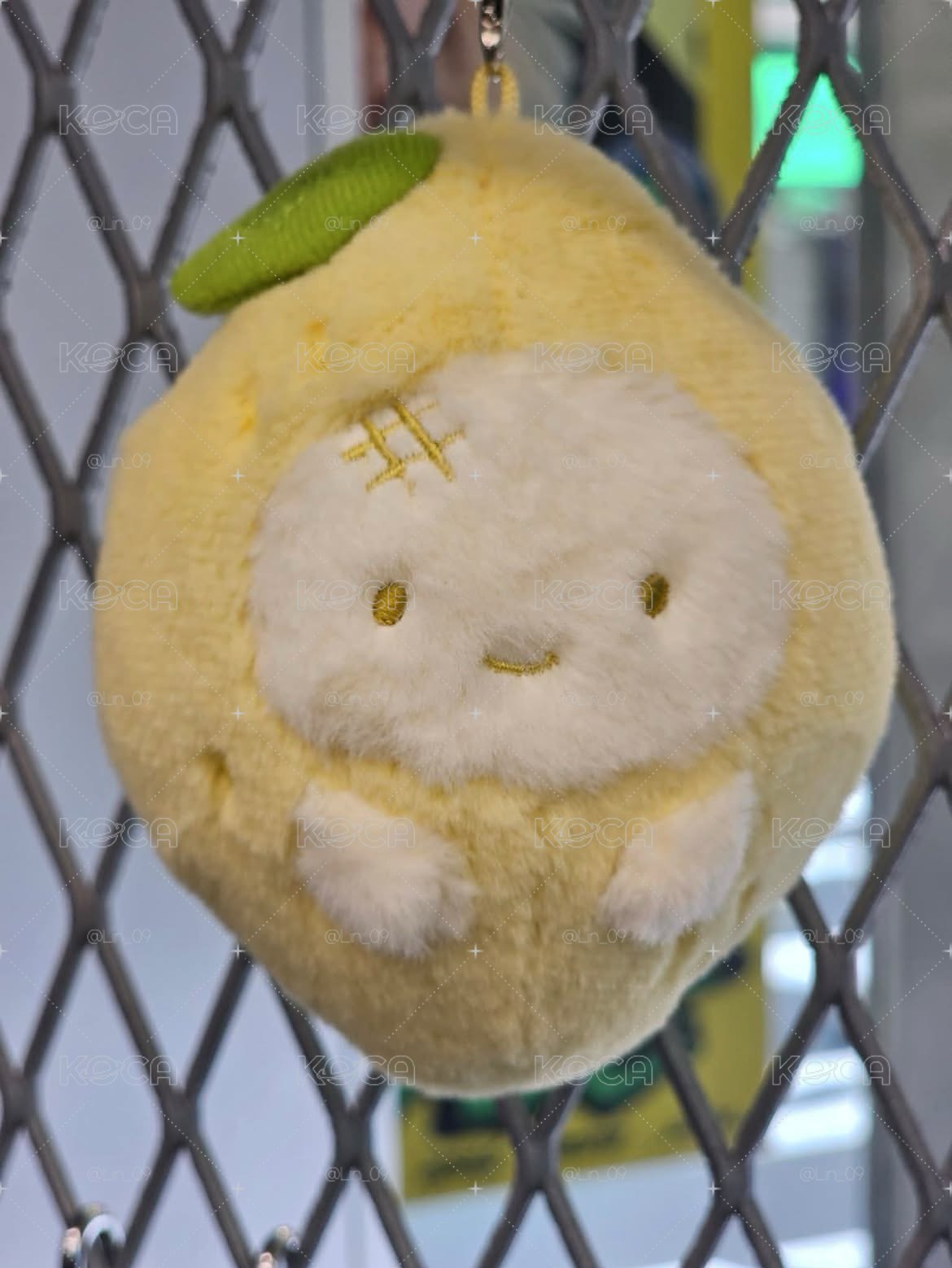 檸檬冬