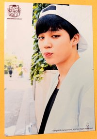 ARMY JAPAN OFFICIAL FANCLUB 入場卡 / 場限卡 FC 會場限定 續會特典