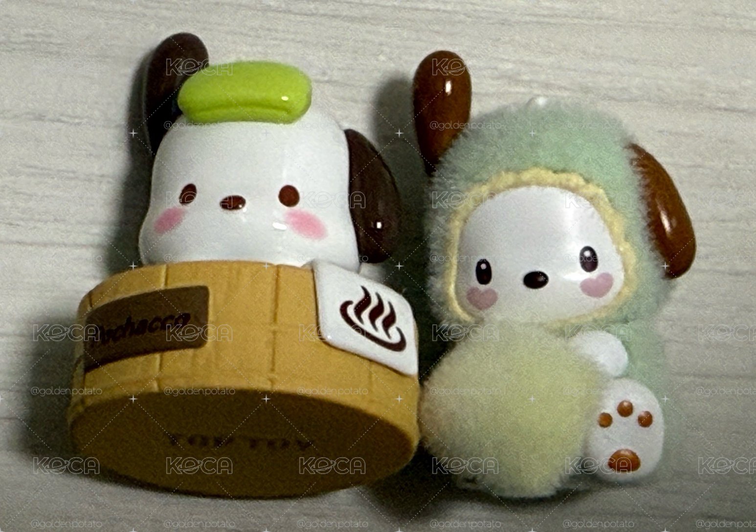 帕恰狗
