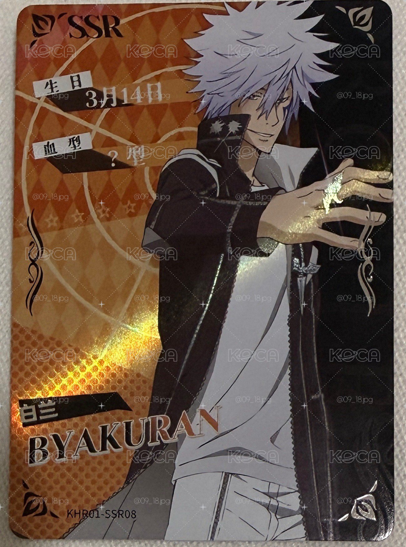 集卡社《家庭教師 HITMAN REBORN！動畫收藏卡・銘刻光陰》