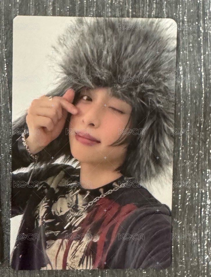 鴨 wink