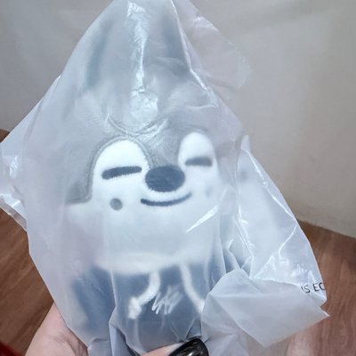 全新未拆 燦狼15公分
