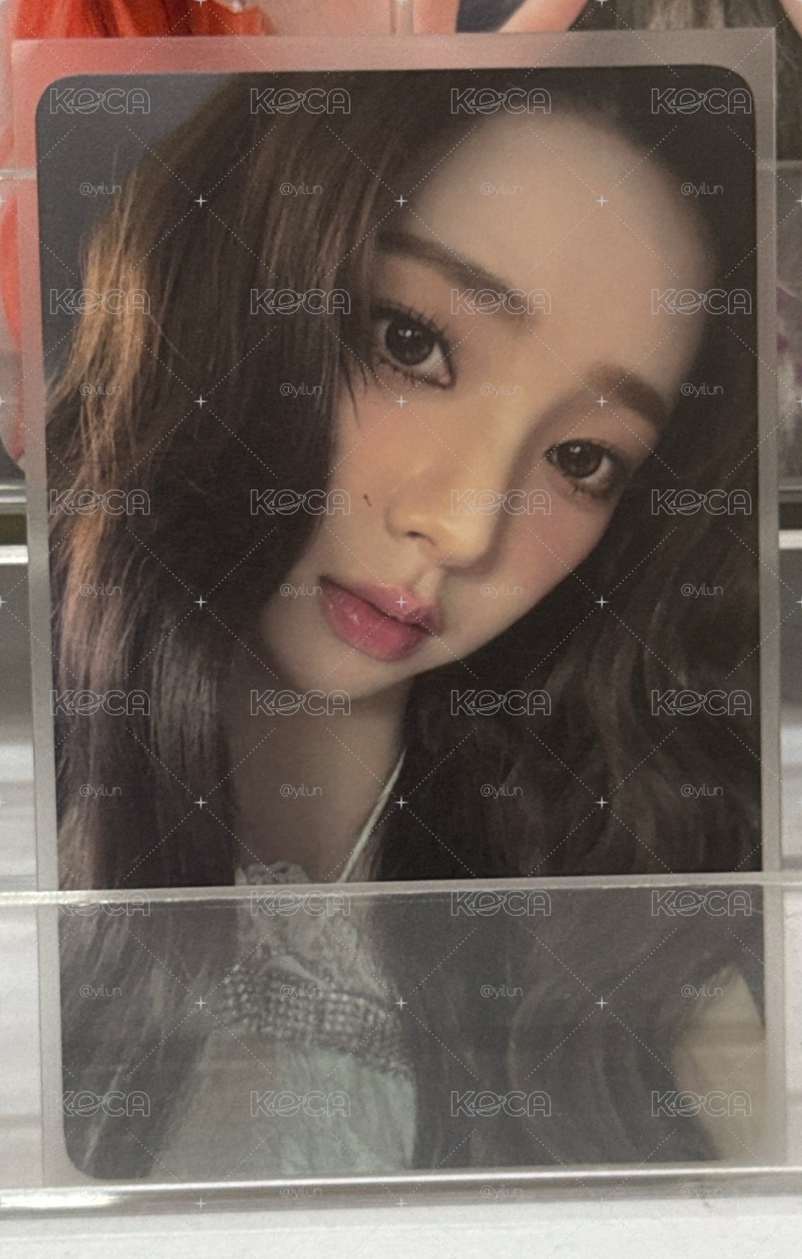 美美柚子