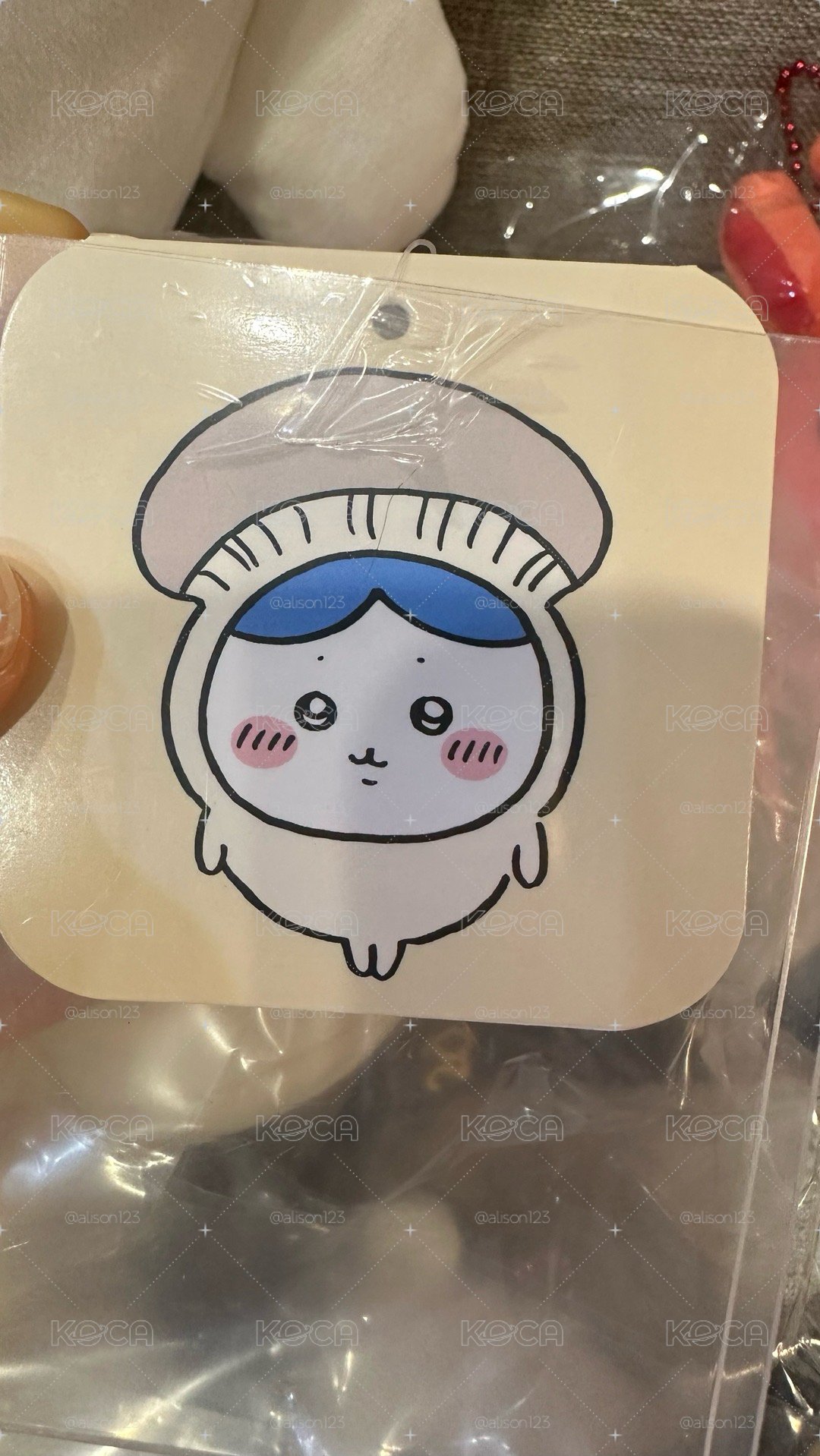 冬菇小八
