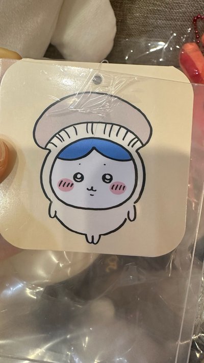 冬菇小八