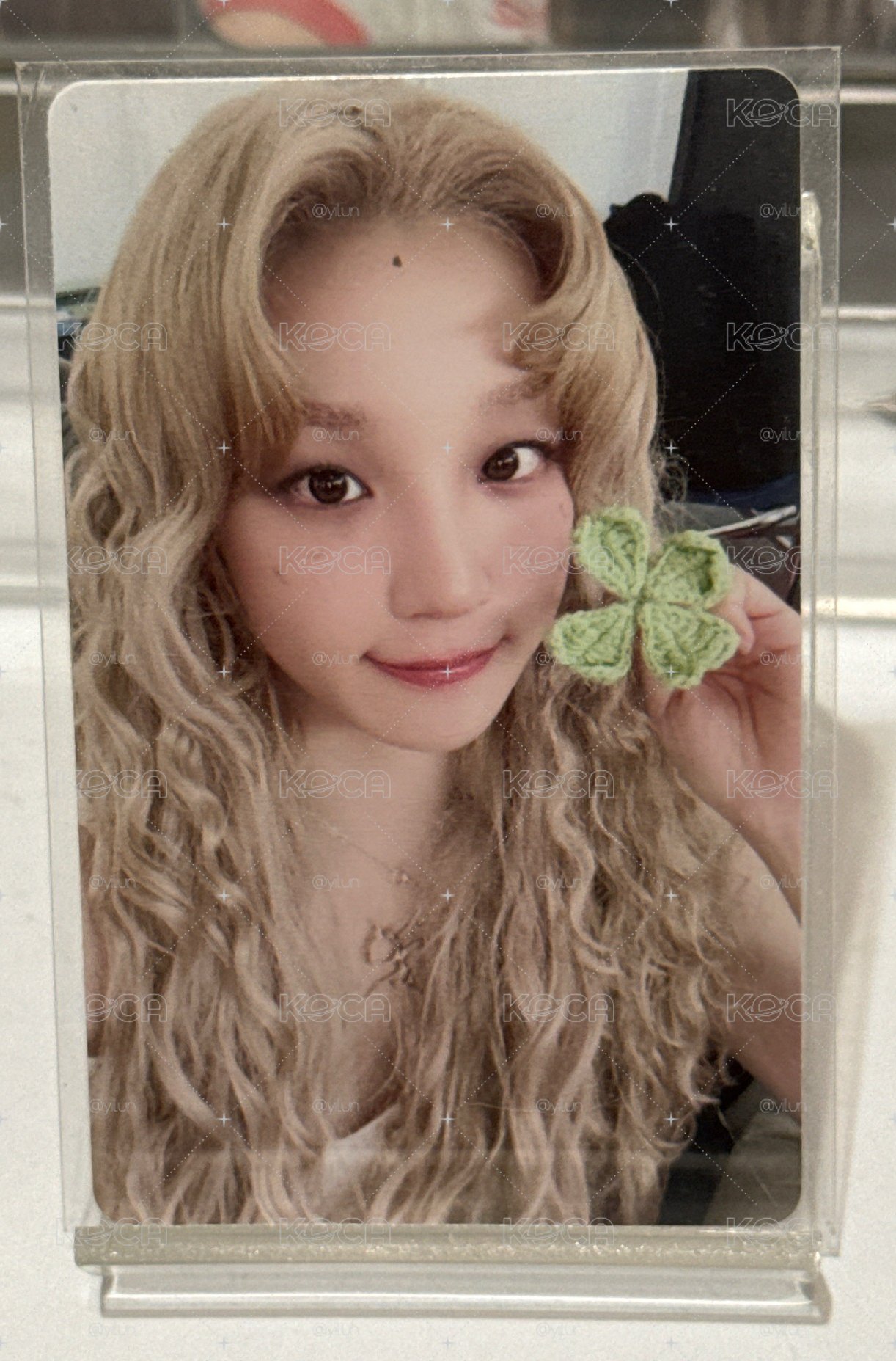 美美雨琦