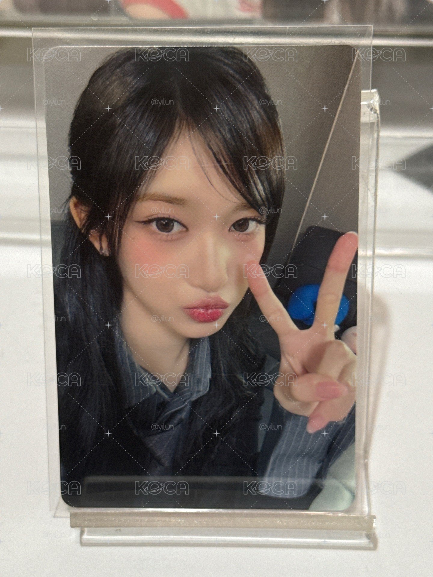 美美李瑞