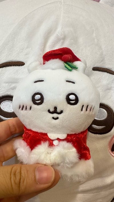 絕版聖誕捧花吉伊