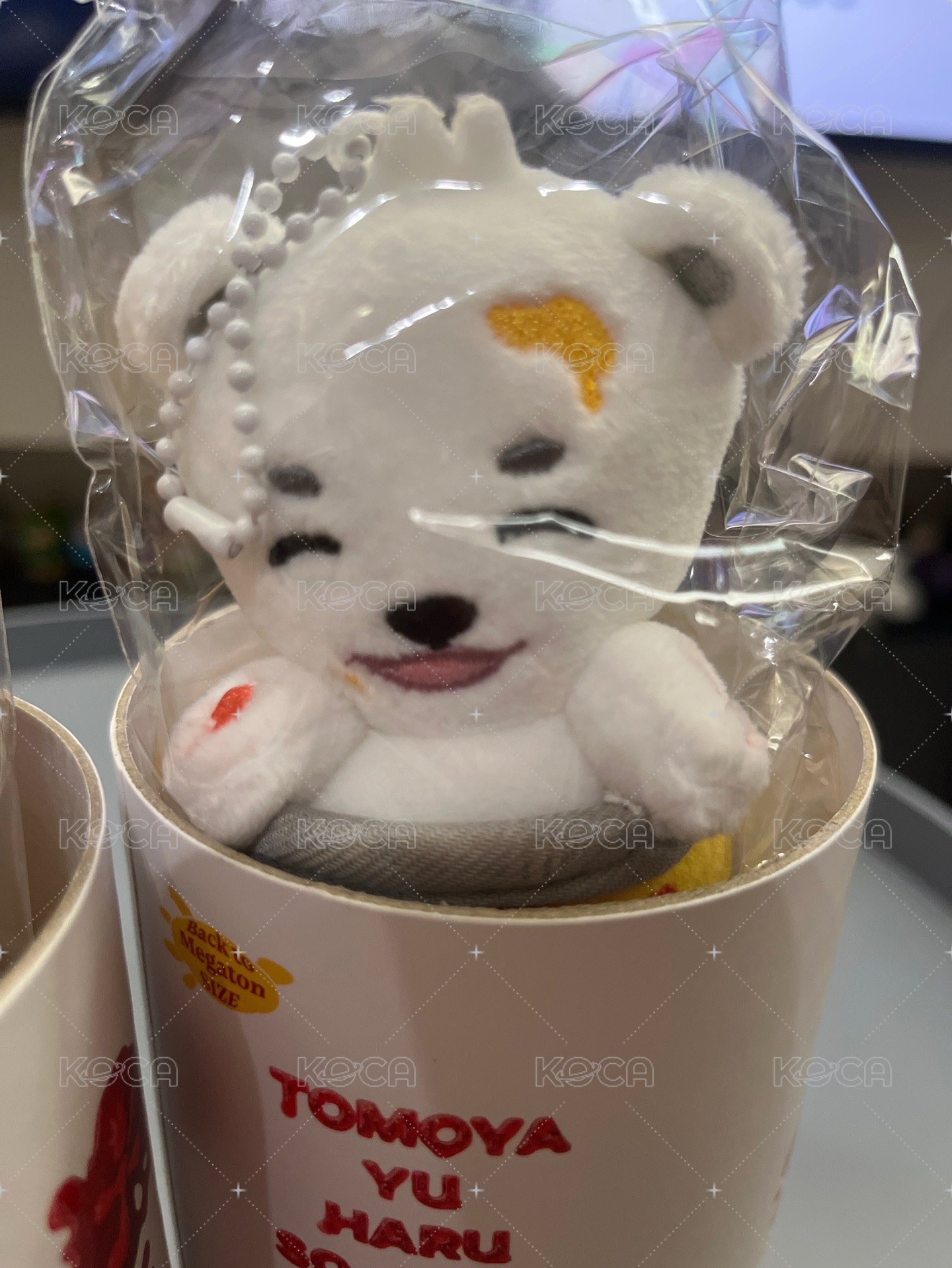 🐻‍❄️