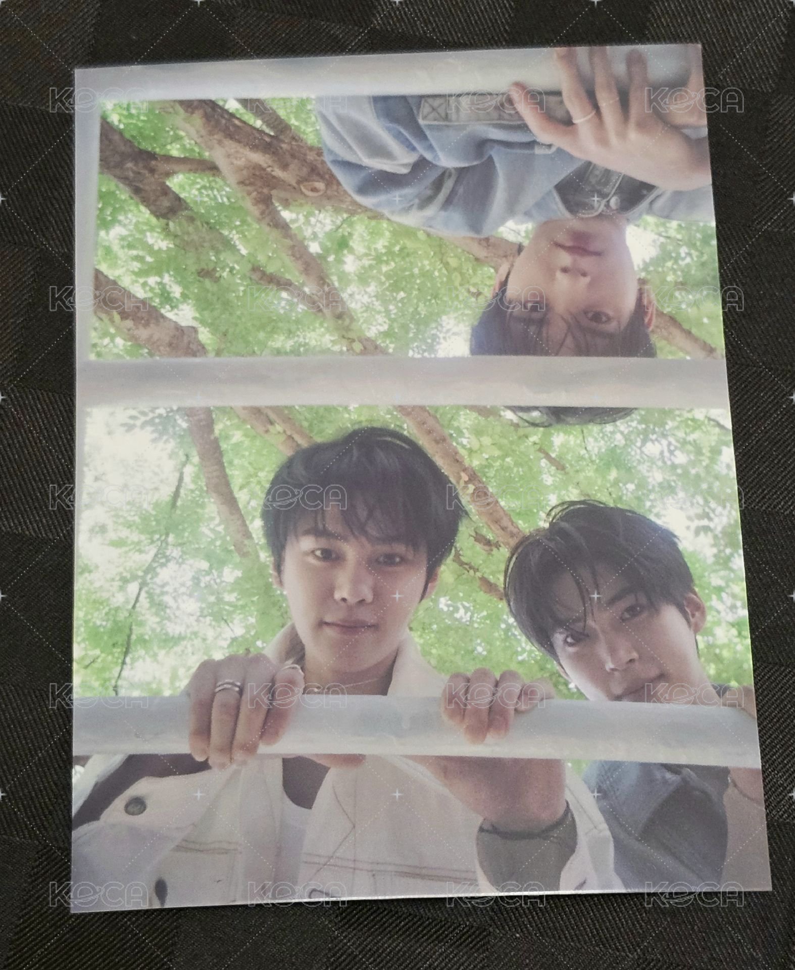 團照01-3
