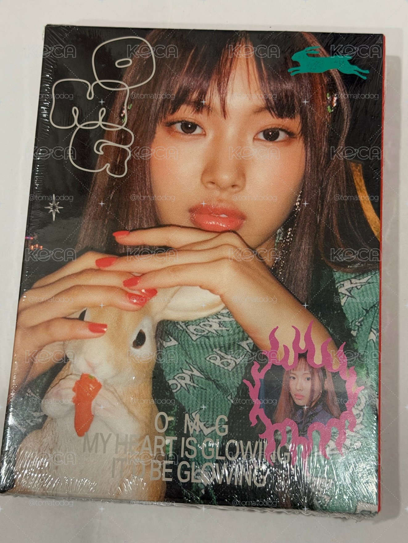 （全新未拆）OMG 專輯 Message Card ver.惠仁