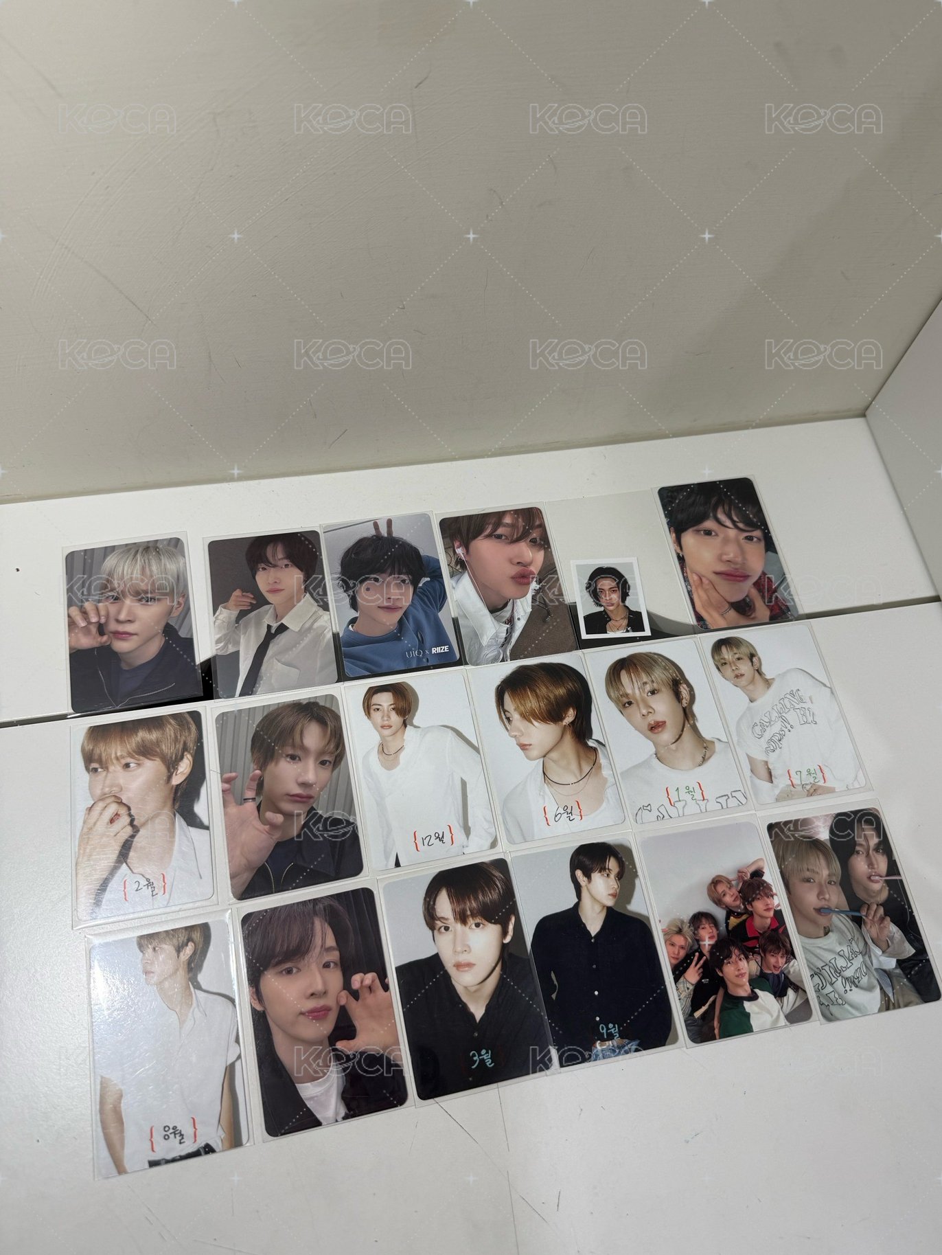 all/18