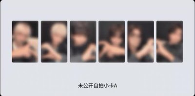 wvs特典AB合售