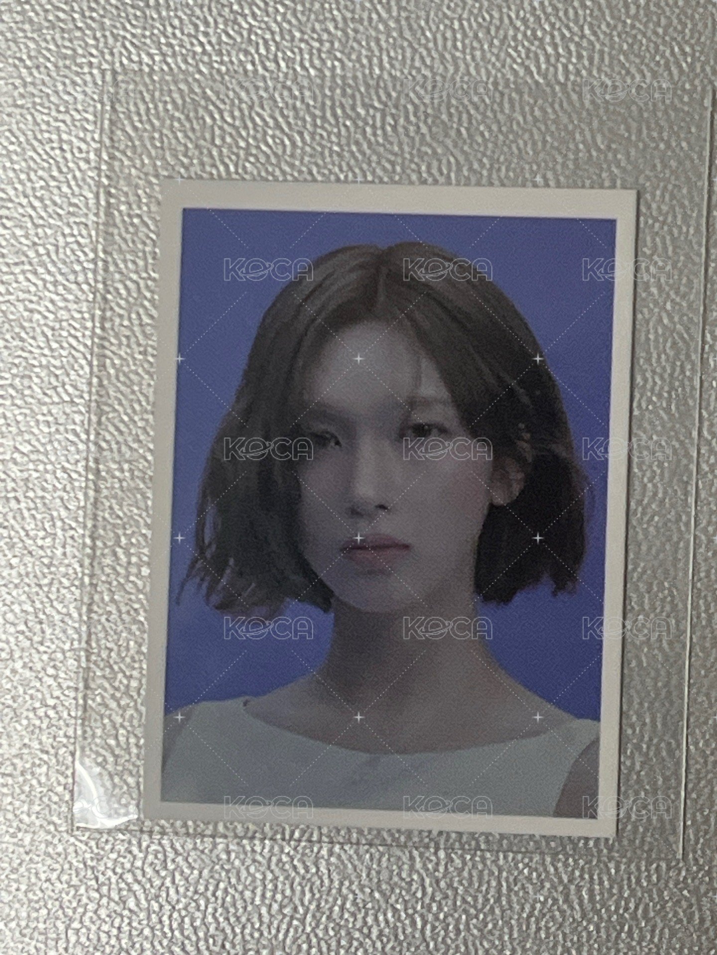 正規一 Blue ver. 證件照-裴