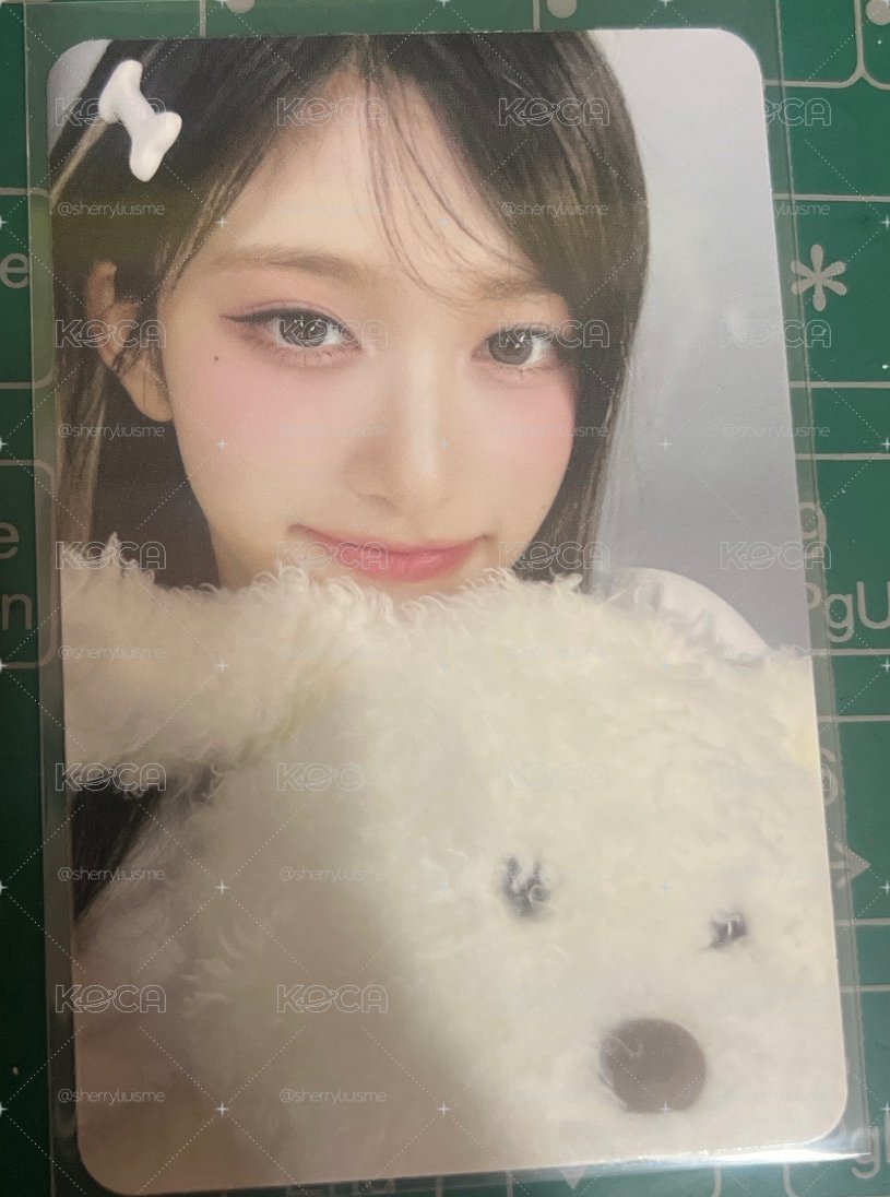 狗狗瑞