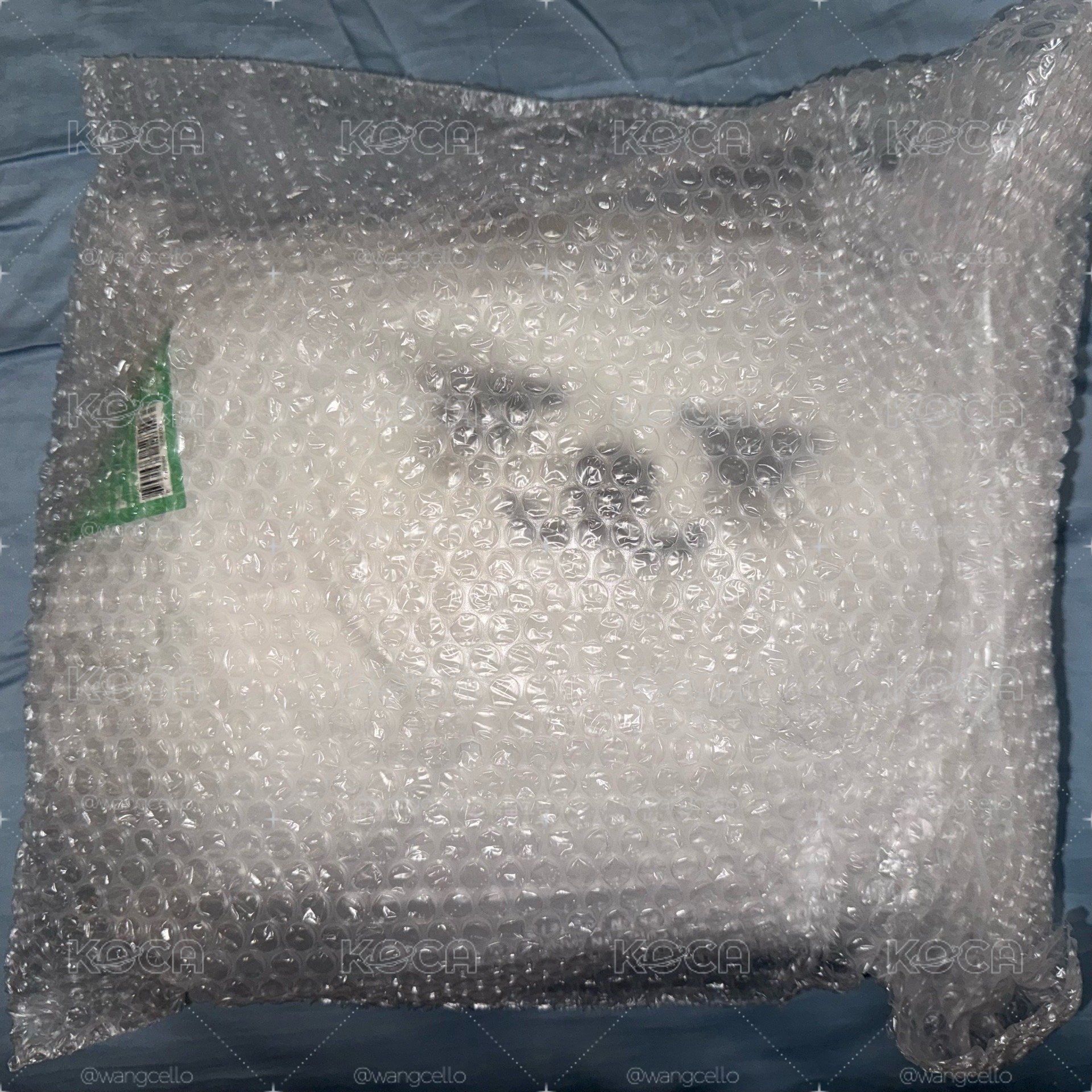 txt｜勇猛抱枕 全新未拆