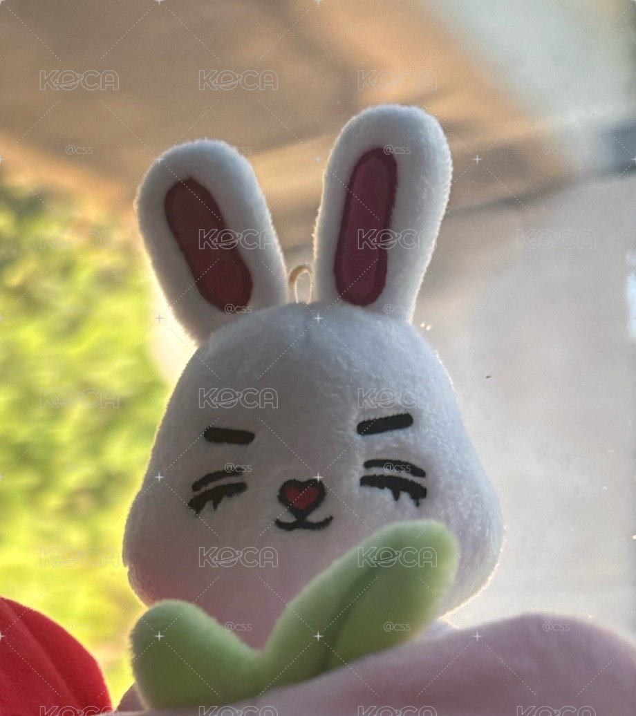 哲坐娃 越南製