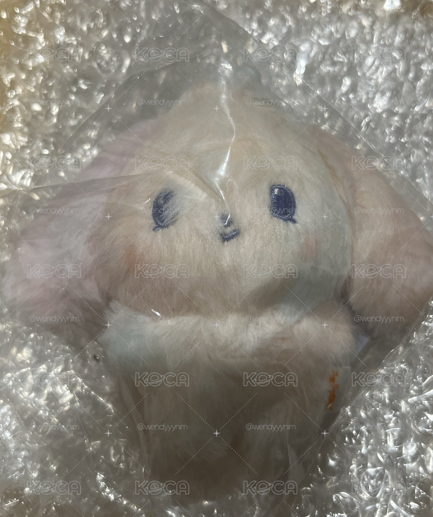 現貨_混色小狗🐩