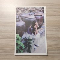 夏日秀（有小損 圖