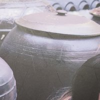 夏日秀（有小損 圖