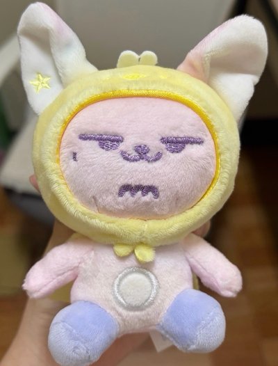 直出淡顏春彩