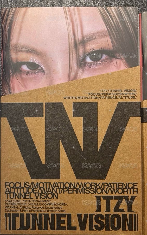 TNVS志