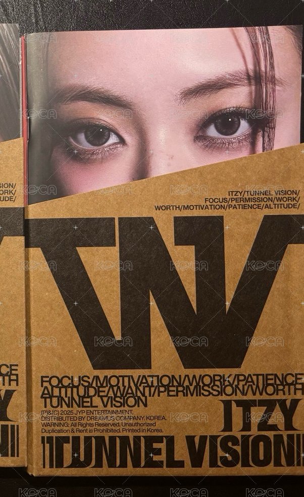 TNVS 娜