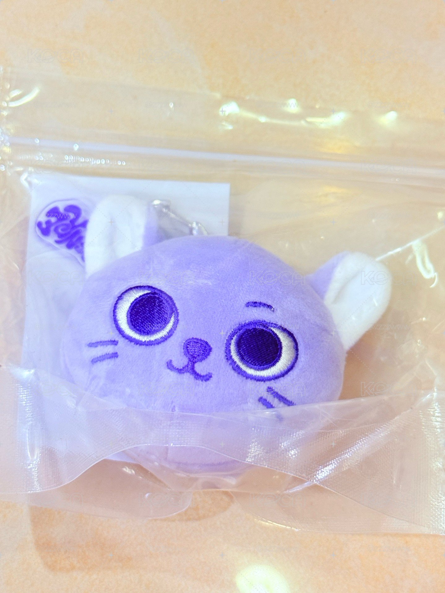 在台現貨 紫色曼陀珠 CATBBI