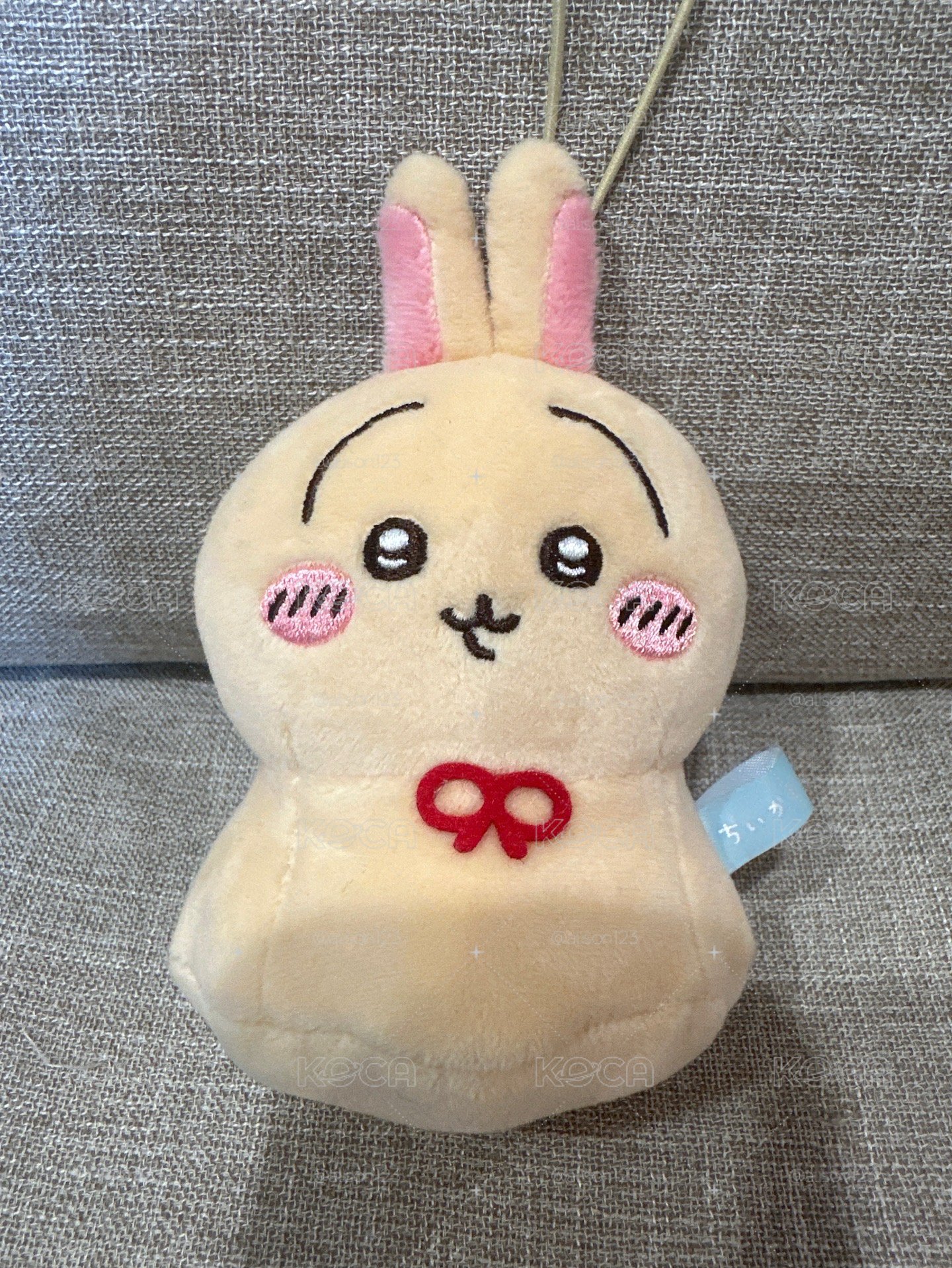 晴天兔兔