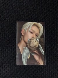 迷七 蝙蝠玩偶力