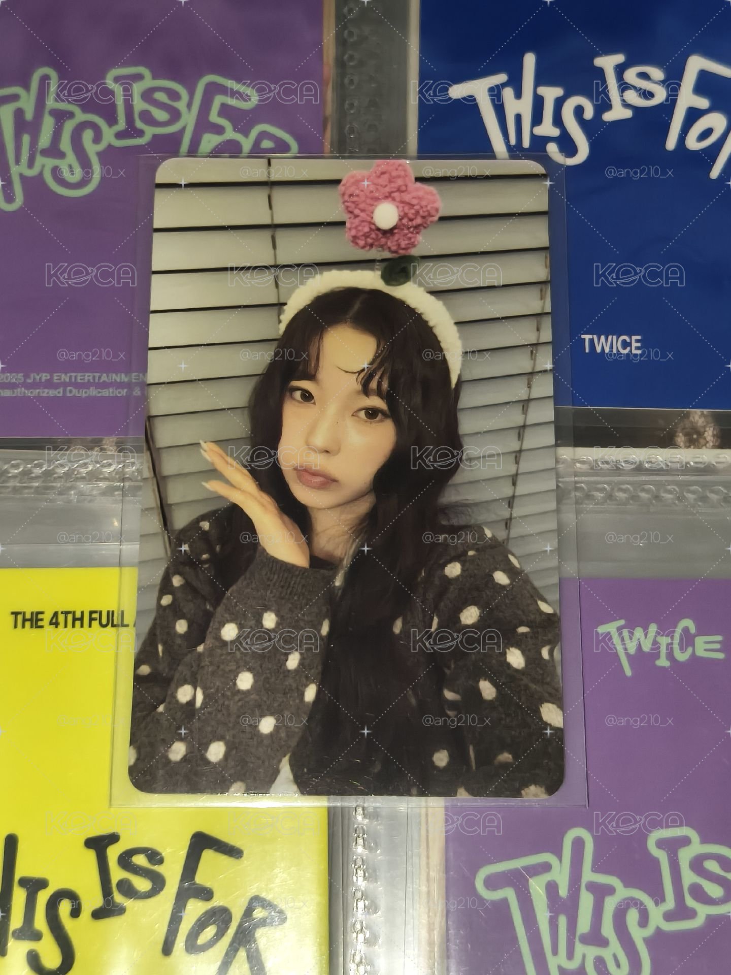 花朵圭🍀