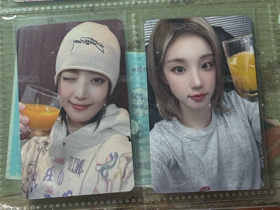 ms 6.0 乾杯 妮琦