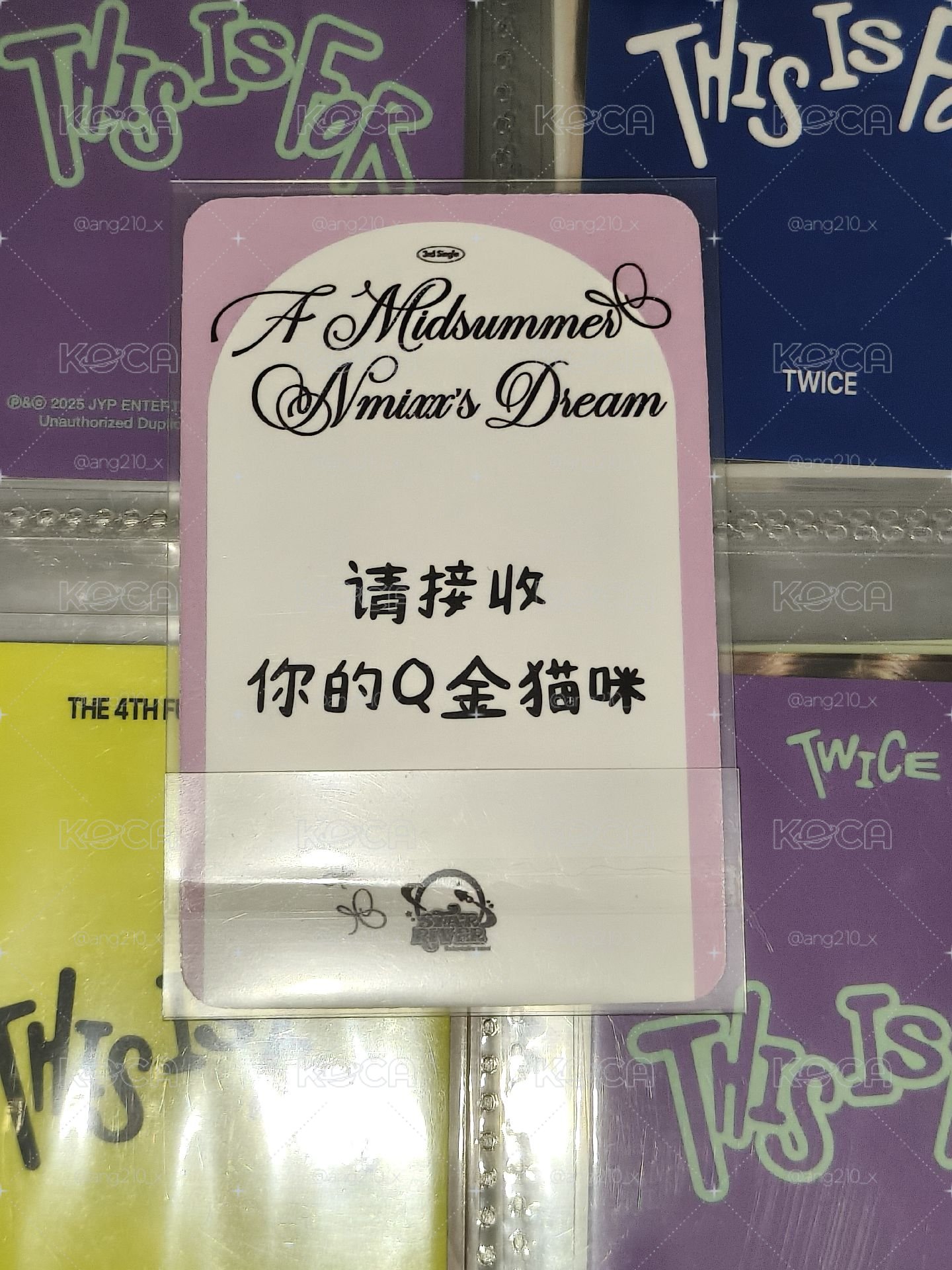 公主圭 中背🍀