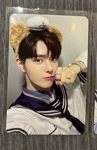 진식