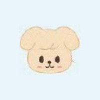 SKZOO 全球快閃店 線下 衛生紙盒/套 中國