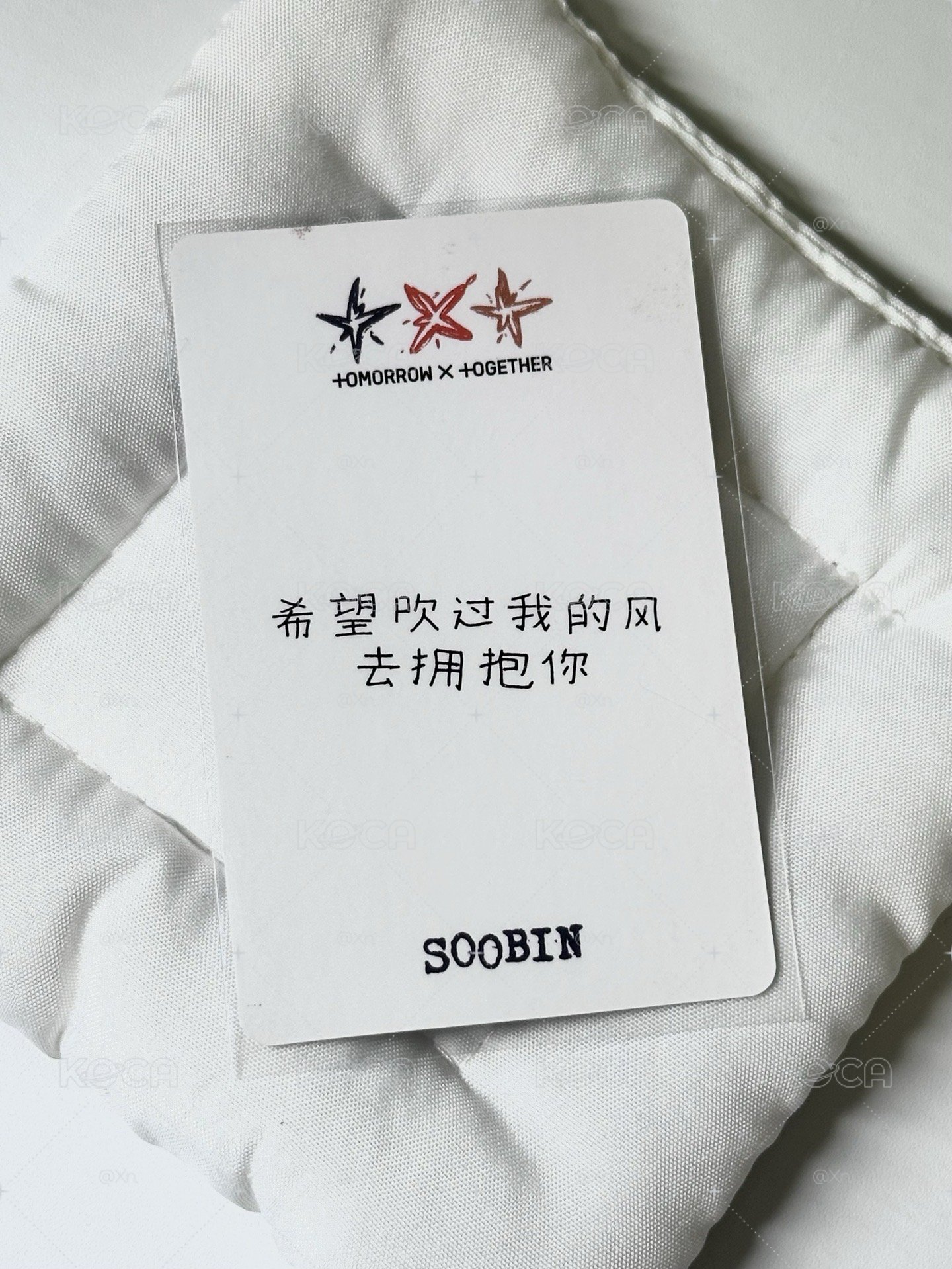 告白彬（中背）